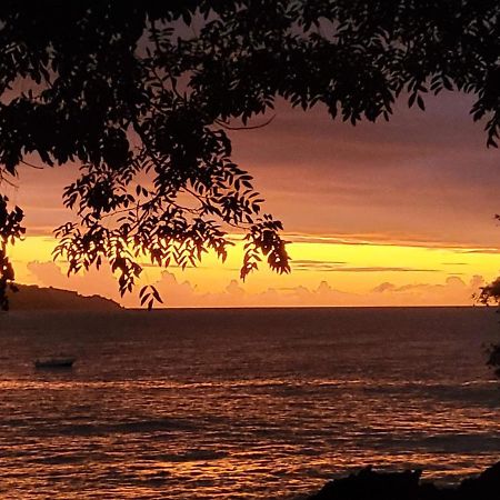 Appartamento Alibaba'S Seabreeze Castara Esterno foto